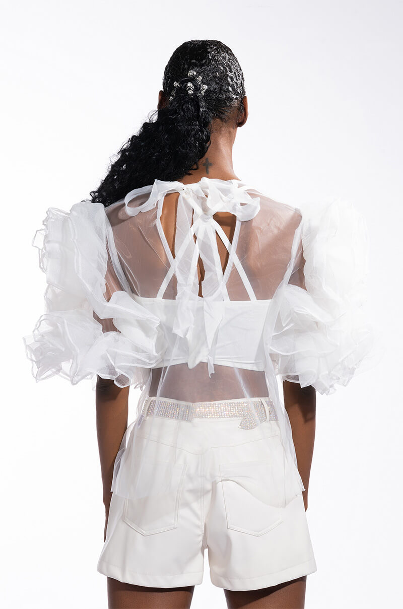 DAYDREAMIN SHEER RUFFLE SLEEVE TIERED DRESS