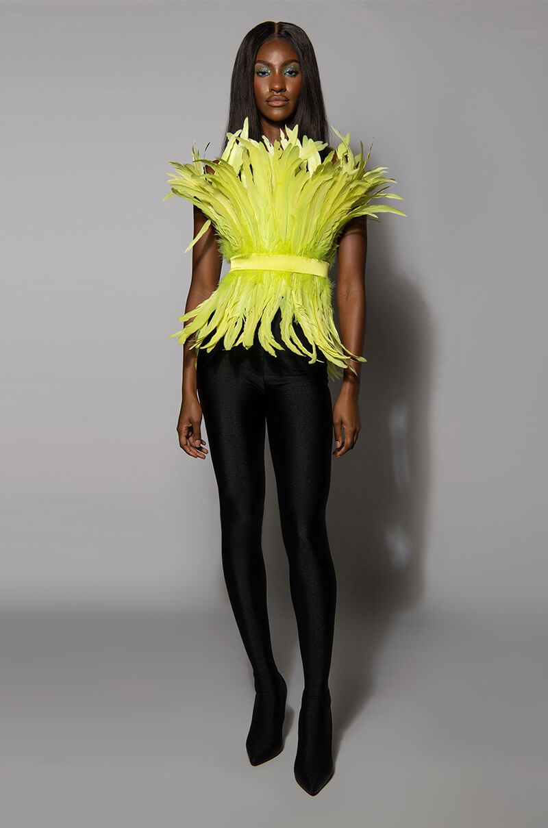 ISLA STATEMENT STRAPLESS FEATHER TOP