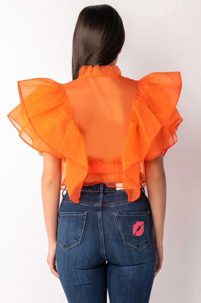 OUTTA MY WAY RUFFLE SLEEVE ORGANZA TIE FRONT BLOUSE