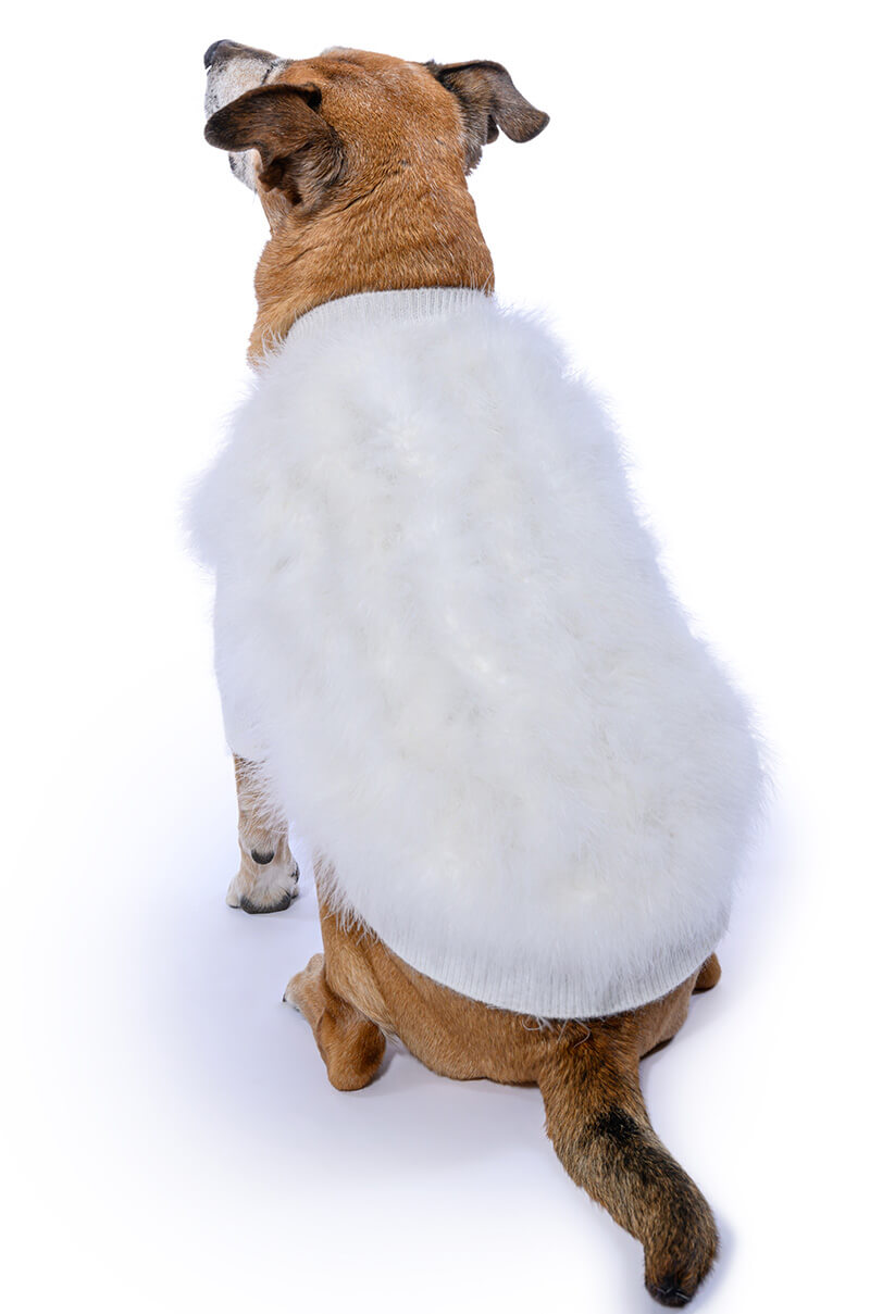 QUINN FEATHER DOGGY SWEATER